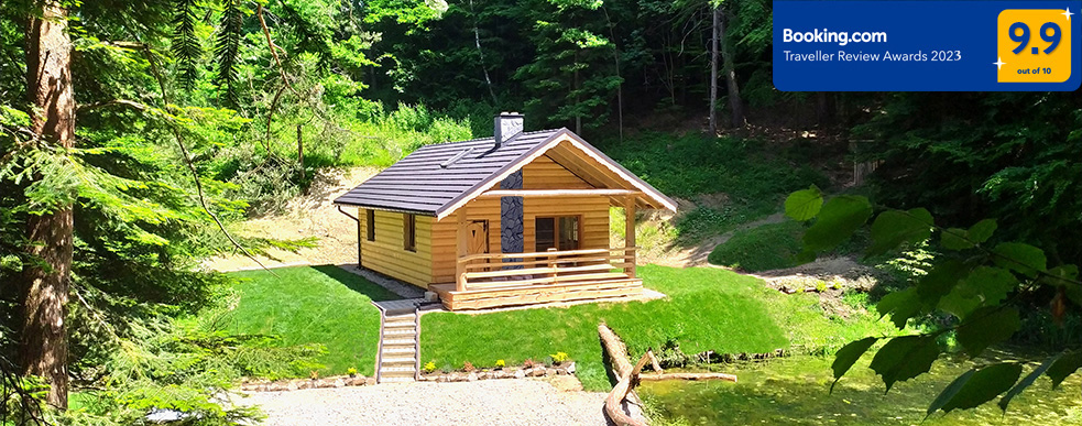 Bieszczady - Domek Nad Stawem