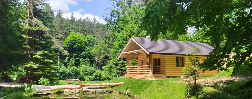 bieszczady - domek nad stawem